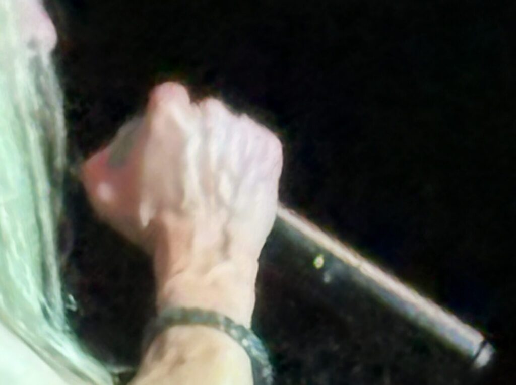 D.R.E.A.M. – Unique Risk Factors for Musicians